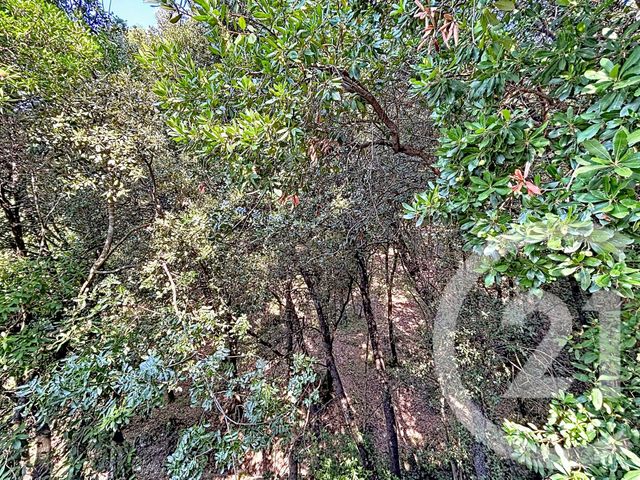 Maison &agrave; vendre - 8 pi&egrave;ces - 187,80 m2 - Le Tignet - 06 - PROVENCE-ALPES-COTE-D-AZUR